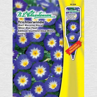 Zorele pitice Minor Blue Flash imagine 15