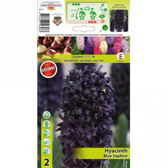 Зюмбюл Blue Saphire изображение 11