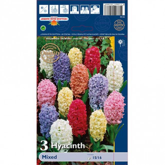 Зюмбюл източен, микс изображение 10