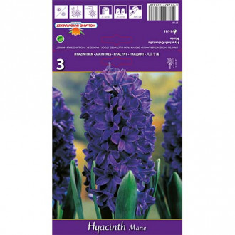 Зюмбюл Marie изображение 16