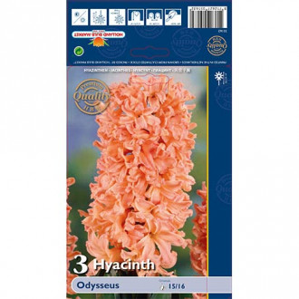 Зюмбюл Odysseus изображение 14