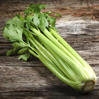 Țelină Groene Pascal imagine 1