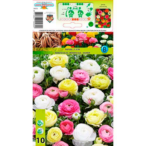 Лютиче Pastel Mix изображение 1 артикул 76356