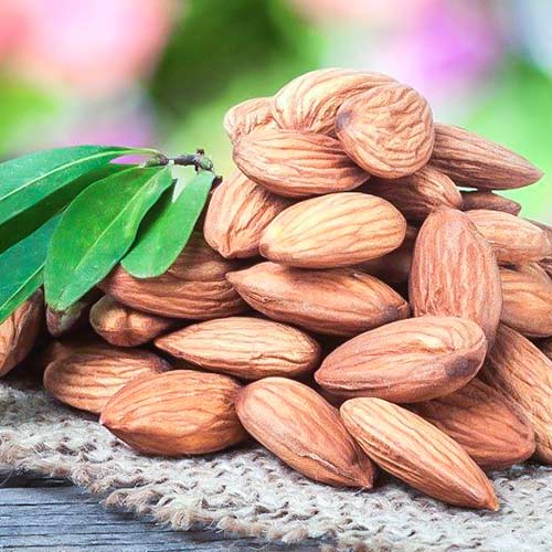 Бадем Vailfas изображение 2 артикул 6925