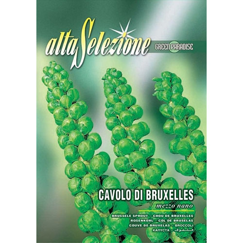 Varză de Bruxelles Mezzo Nano imagine 1 articol 87193