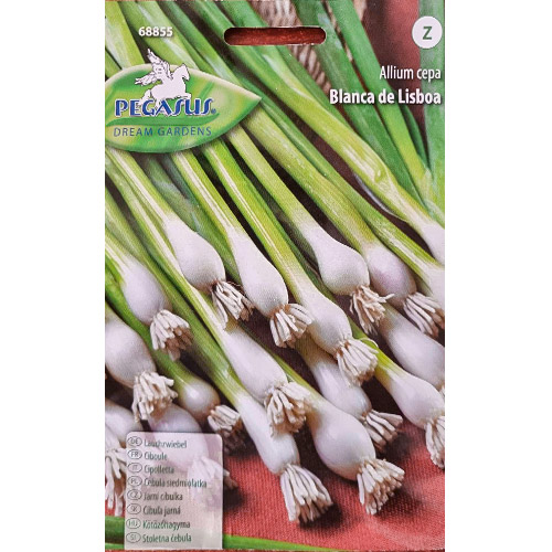 Ceapă verde Blanca de Lisboa imagine 1 articol 96631