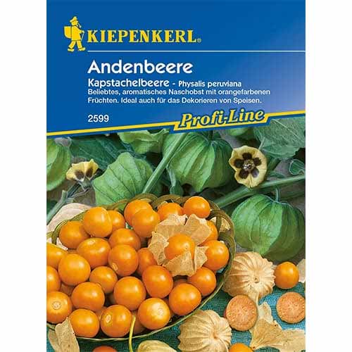 Physalis (Cireșe de pământ) imagine 1 articol 86239