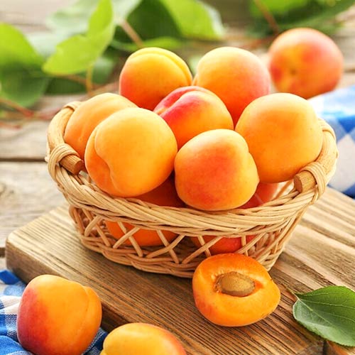 Кайсия Diamond, С2 изображение 1 артикул 4277