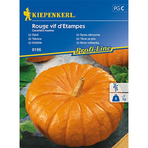 Dovleac Rouge vif d´Etampes imagine 1 articol 86472