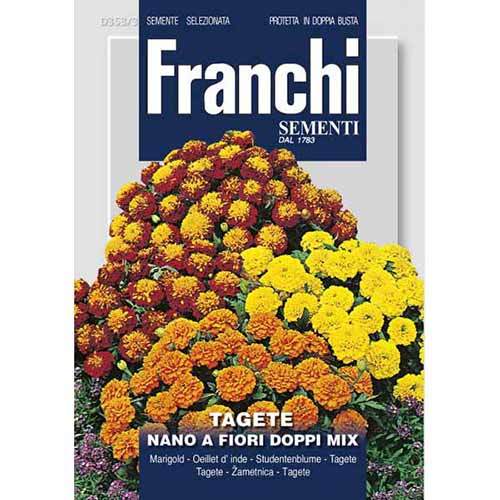 Crăițe pitice cu flori duble, mix multicolor imagine 1 articol 87307