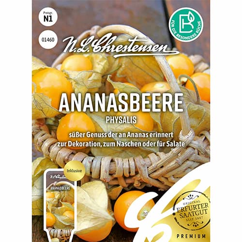 Physalis Ananas imagine 1 articol 87827