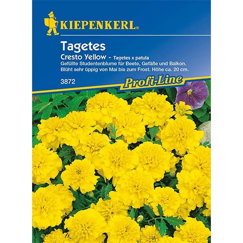 Aksamitka Cresto Yellow interface.image 1 interface.art 86345