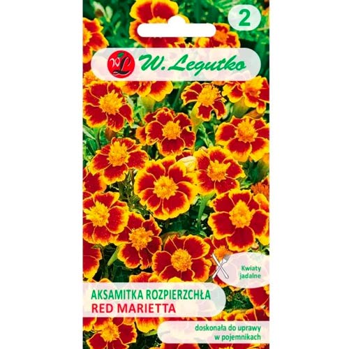 Aksamitka Red Marietta interface.image 1 interface.art 69553