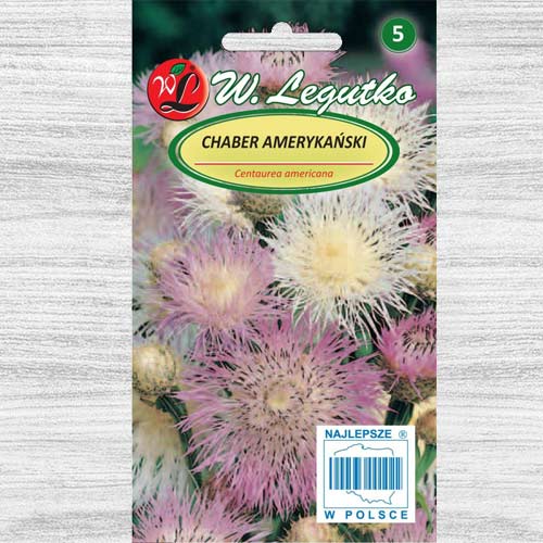 Albăstrele americane roz Legutko imagine 1 articol 78536