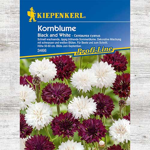 Albăstrele Black & White imagine 1 articol 86279