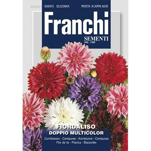 Albăstrele duble, mix multicolor imagine 1 articol 87299