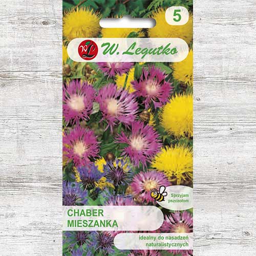 Albăstrele perene, mix multicolor Legutko imagine 1 articol 86804