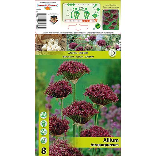 Алиум Atropurpureum изображение 1 артикул 68053