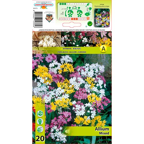 Allium mix multicolor imagine 1 articol 67298