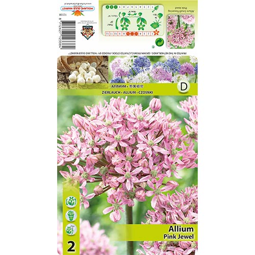 Allium Pink Jewel imagine 1 articol 67300