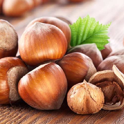 Alun Sozi imagine 1 articol 4283