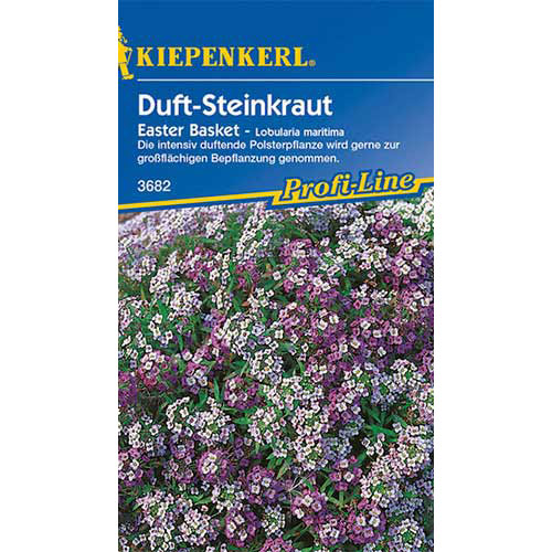 Alyssum Easter Basket Kiepenkerl imagine 1 articol 86284