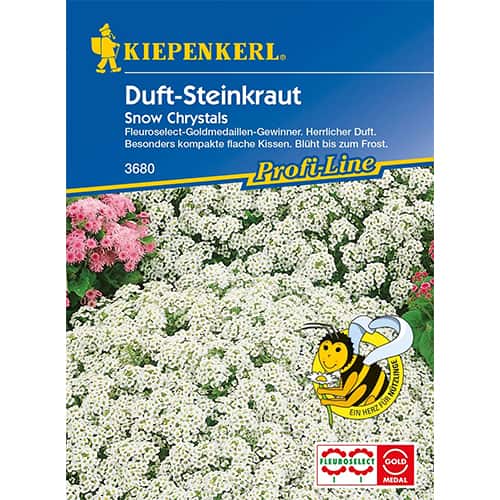 Alyssum Maritima Snow Crystals imagine 1 articol 87760