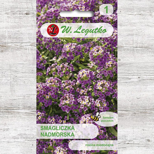 Alyssum violet Legutko imagine 1 articol 87089