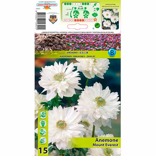 Anemone Mount Everest imagine 1 articol 76166