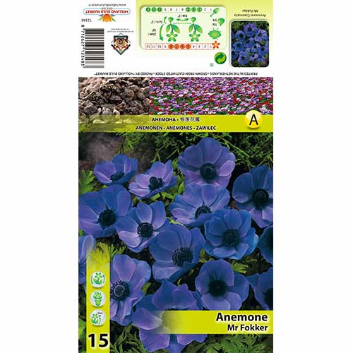 Anemone Mr Fokker imagine 1 articol 70339