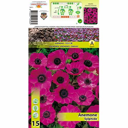 Anemone Sylphide imagine 1 articol 70342
