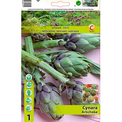 Anghinare imagine 1 articol 70502