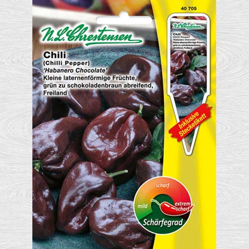 Ardei iute Habanero Chocolate imagine 1 articol 69059