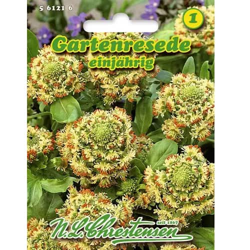Ароматна резеда Chrestensen изображение 1 артикул 96441