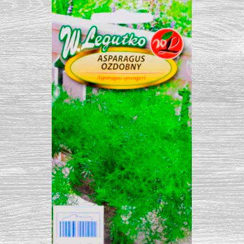 Asparagus ozdobny interface.image 1 interface.art 69556