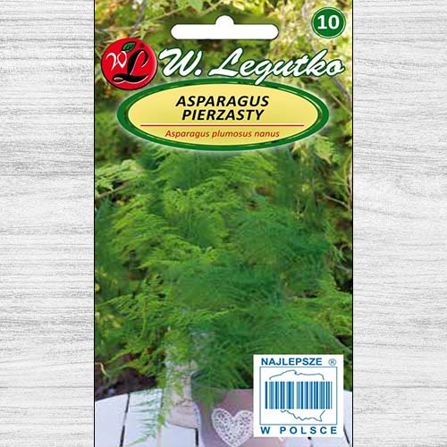 Asparagus pierzasty interface.image 1 interface.art 78620