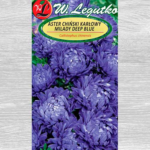 Ochiul boului Milady Deep Blue Legutko imagine 1 articol 69557