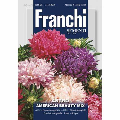 Aster chiński American Beauty, mieszanka kolorów Morami interface.image 1 interface.art 87129