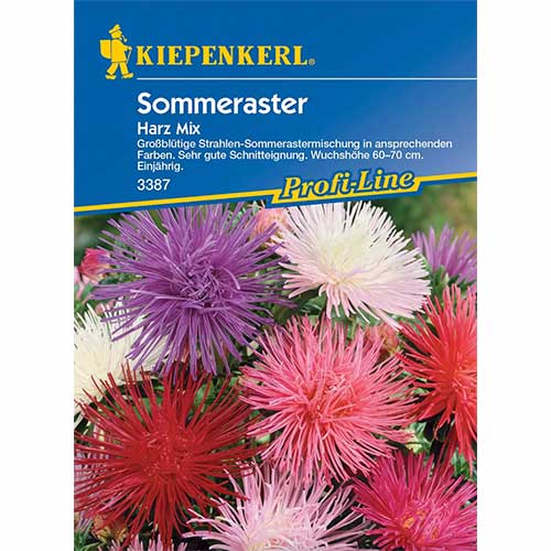 Aster chiński Harz, mieszanka Kiepenkerl interface.image 1 interface.art 96571