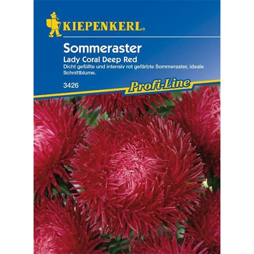 Aster pelny Lady Coral Deep Red interface.image 1 interface.art 86313