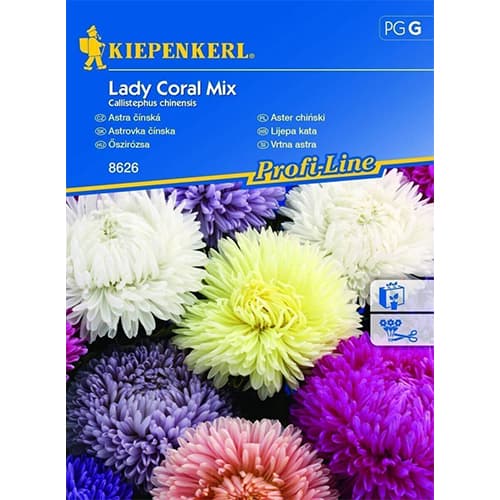 Aster pelny Lady Coral Profi, mix kolorow interface.image 1 interface.art 86241