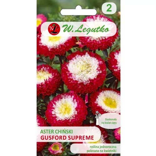 Aster pomponowy Gusford Supreme interface.image 1 interface.art 86814