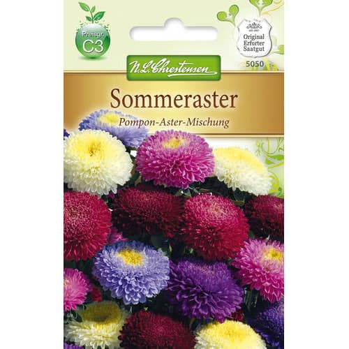 Aster pomponowy, mix kolorow interface.image 1 interface.art 78893