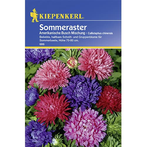 Aster pelny Amerikanische Busch, mix kolorow interface.image 1 interface.art 77426