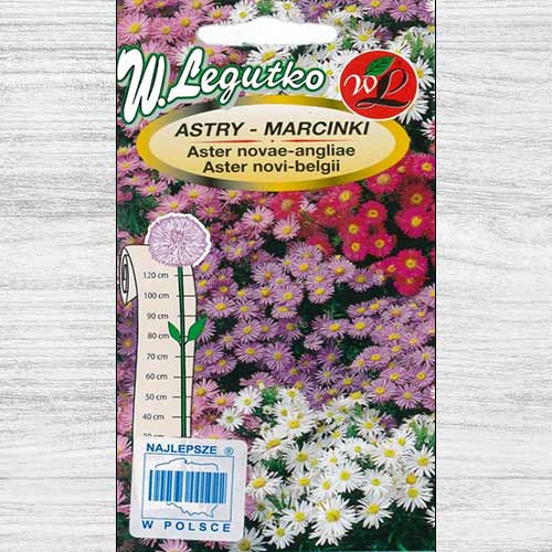 Aster, mix multicolor imagine 1 articol 78597