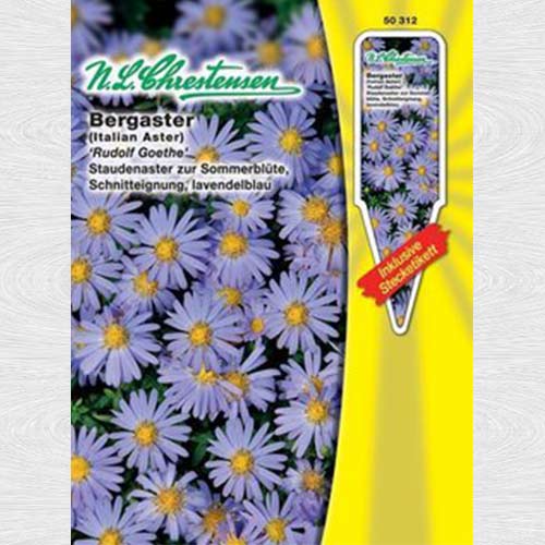 Aster Rudolf Goethe imagine 1 articol 69246