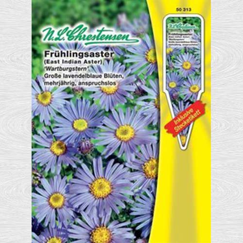 Aster Wartburg Star imagine 1 articol 69247