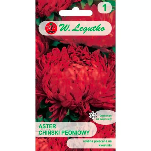 Астра китайска божур червен Legutko изображение 1 артикул 78525