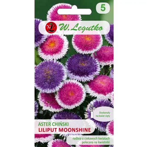 Астра китайска Liliput Moonshine Legutko изображение 1 артикул 69563