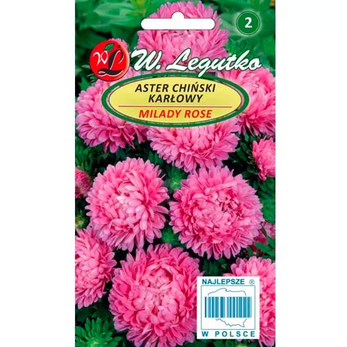 Астра китайска Milady Rose Legutko изображение 1 артикул 69558